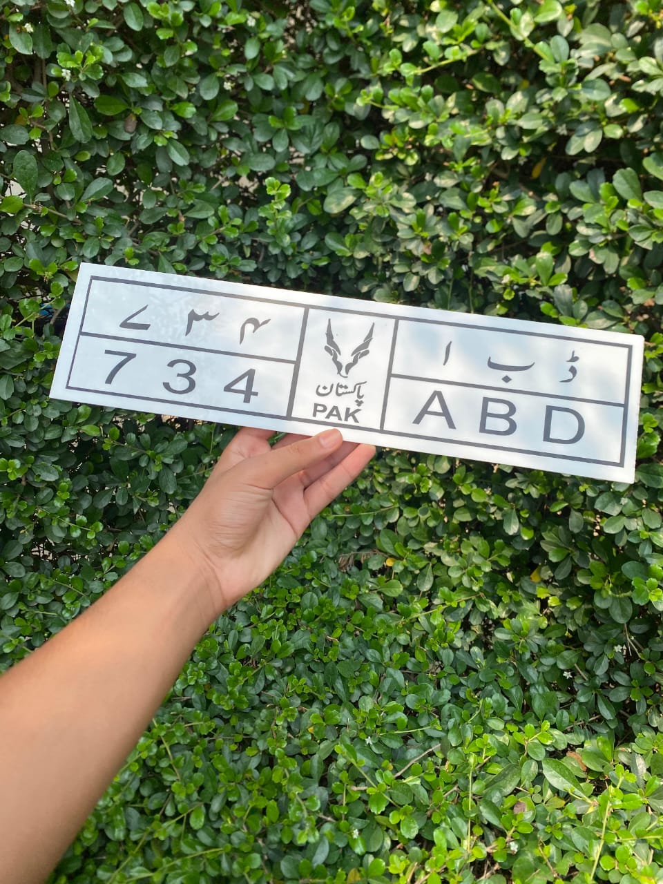 🇵🇰 Custom Pakistan Sticker Number Plates - Styles 🚗✨